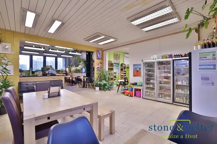 Pronájem obchodního prostoru, Praha - Troja, Lodžská, 254 m2