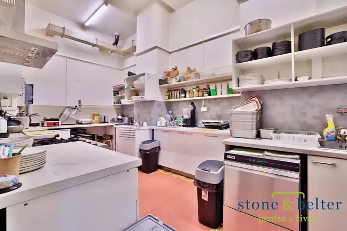 Pronájem obchodního prostoru, Praha - Troja, Lodžská, 254 m2