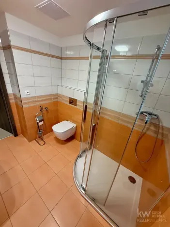 Pronájem bytu 2+kk, Plzeň, Kotíkovská, 56 m2