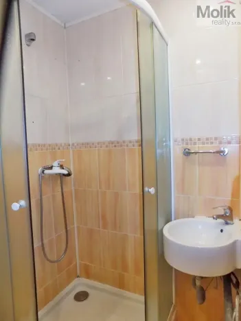 Prodej bytu 1+kk, Ústí nad Labem - Ústí nad Labem-centrum, Hoření, 21 m2