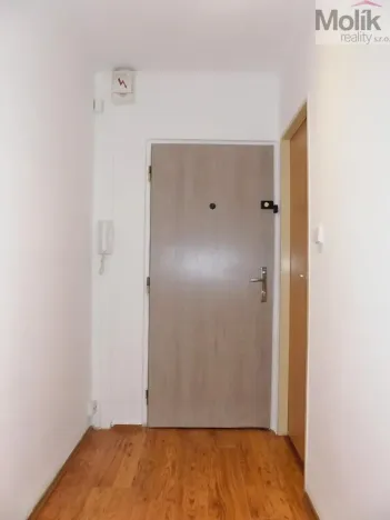 Prodej bytu 1+kk, Ústí nad Labem - Ústí nad Labem-centrum, Hoření, 21 m2