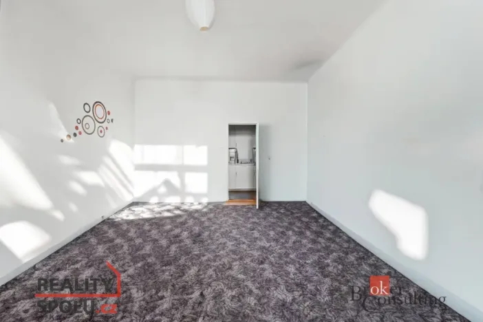 Prodej bytu 2+kk, Praha - Žižkov, Hartigova, 60 m2