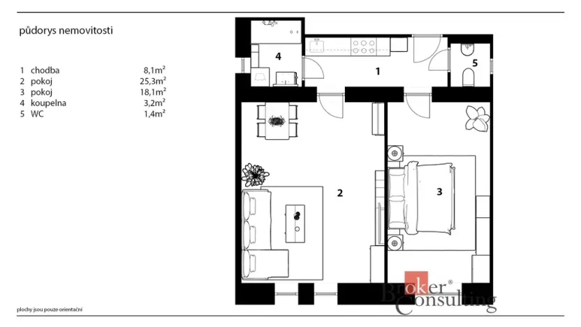 Prodej bytu 2+kk, Praha - Žižkov, Hartigova, 60 m2