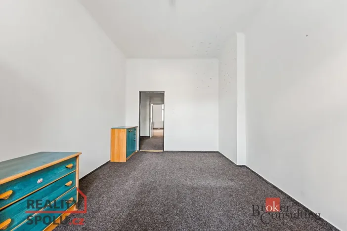 Prodej bytu 2+1, Praha - Žižkov, Hartigova, 76 m2