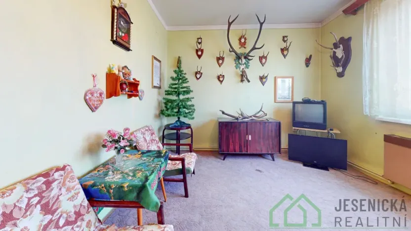 Prodej rodinného domu, Javorník, Nádražní, 269 m2