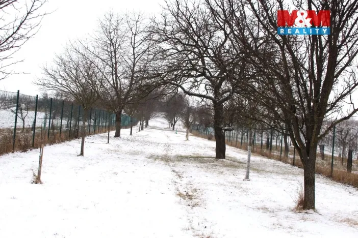 Prodej pole, Starý Poddvorov, 4096 m2