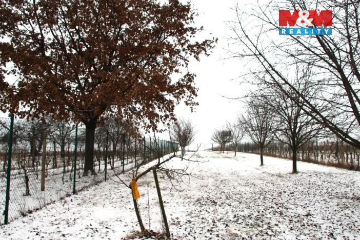 Prodej pole, Starý Poddvorov, 4096 m2