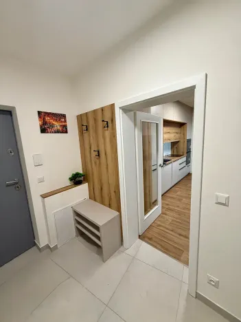 Prodej bytu 1+kk, Brno, Řepova, 42 m2