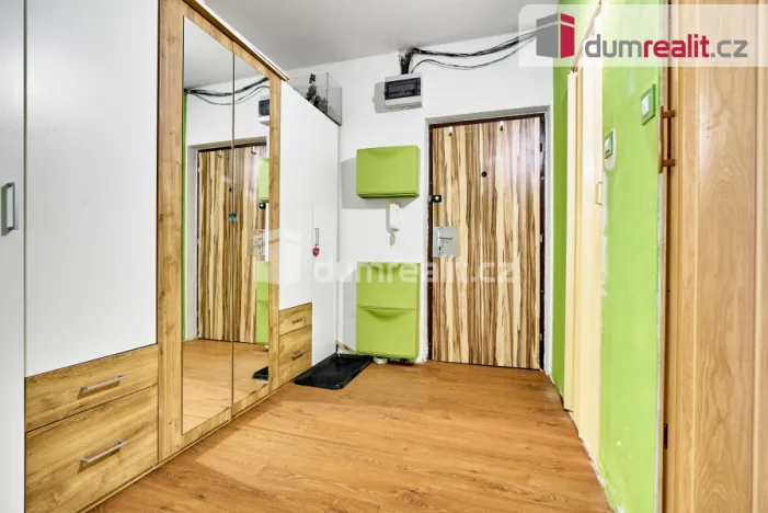 Prodej bytu 2+1, Ostrov, Lidická, 62 m2