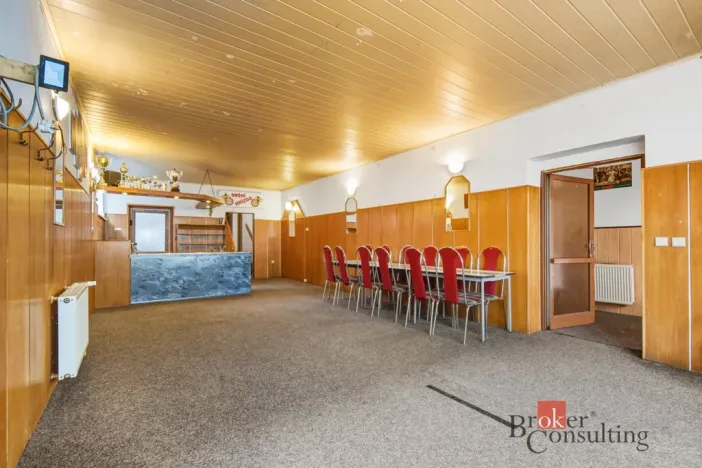 Prodej rodinného domu, Týniště nad Orlicí, V Sítinách, 395 m2