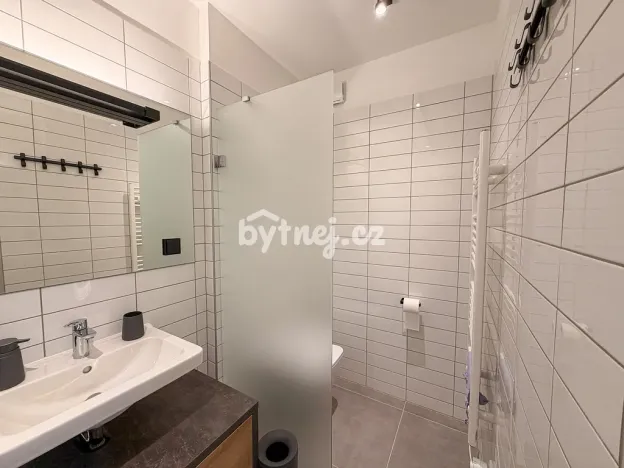 Pronájem bytu 1+kk, Brno - Trnitá, Křenová, 2641 m2