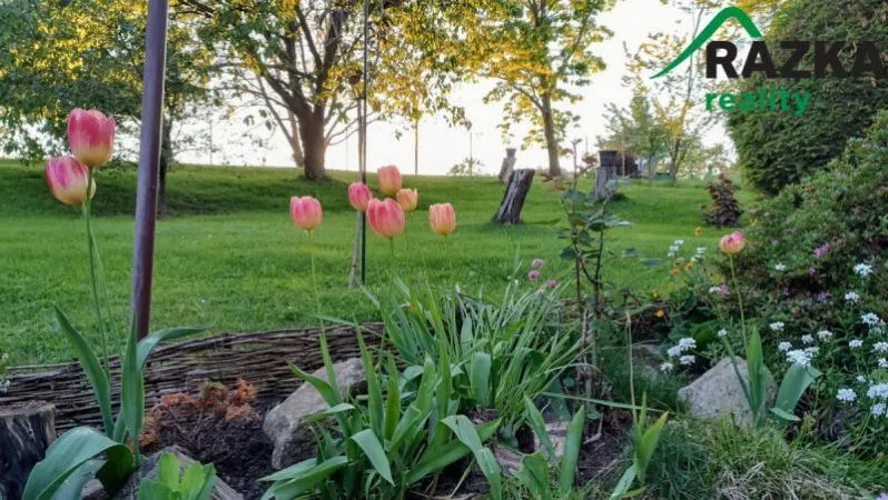 Prodej chalupy, Javorník, 80 m2