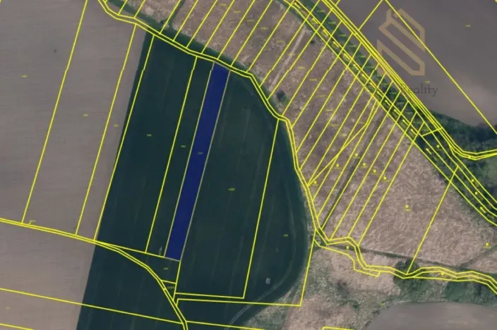 Prodej pole, Vrbice, Hlavní, 7211 m2