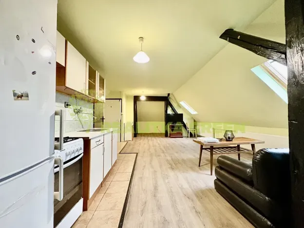 Pronájem bytu 1+kk, Veselá, 50 m2