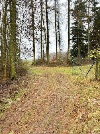 Prodej lesa, Konice, 3343 m2