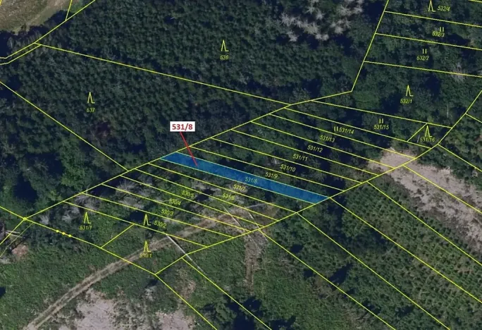 Dražba lesa, Havlíčkův Brod, 212 m2