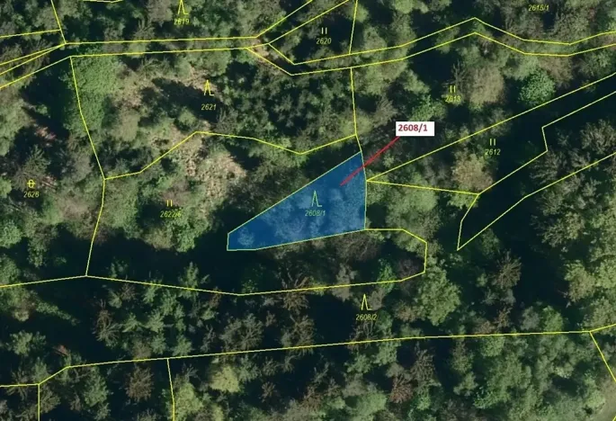 Dražba lesa, Zděchov, 481 m2