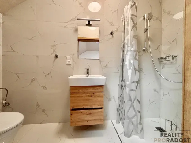 Pronájem komerční nemovitosti, Olšany u Prostějova - Hablov, 247 m2