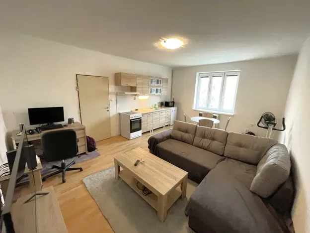 Pronájem bytu 1+kk, Plzeň, Guldenerova, 34 m2