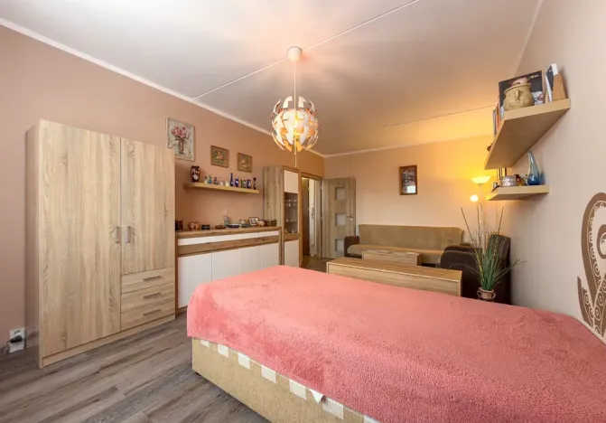 Pronájem bytu 1+1, Jirkov, SNP, 39 m2