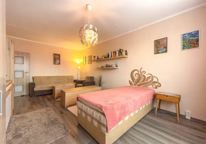 Pronájem bytu 1+1, Jirkov, SNP, 39 m2