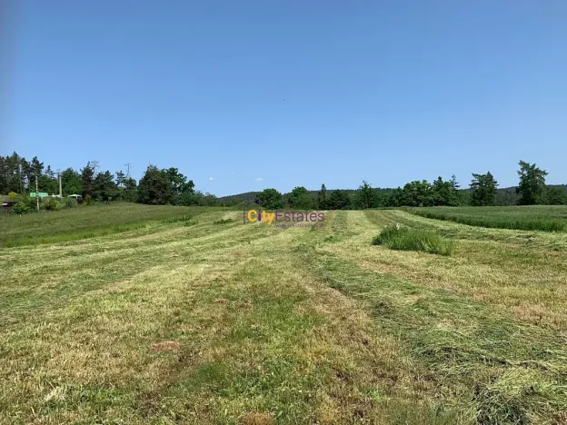 Prodej pozemku pro bydlení, Dublovice, 4428 m2