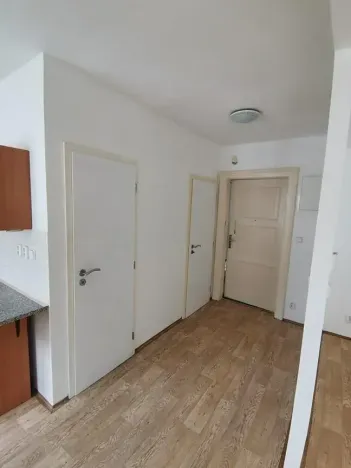 Pronájem bytu 1+kk, Liberec, Vaňurova, 35 m2