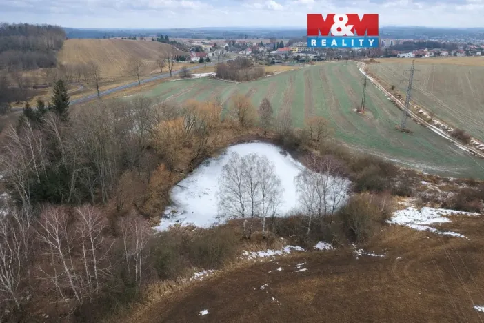 Prodej rybníku, Pelhřimov - Starý Pelhřimov, 2951 m2