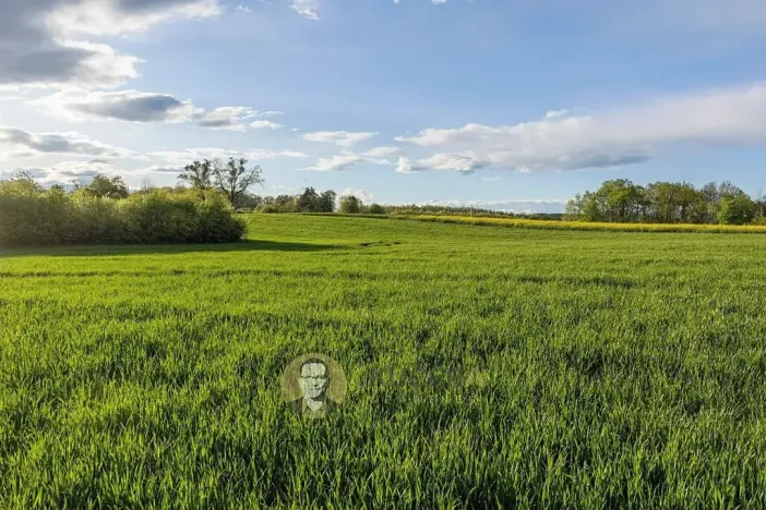 Prodej pozemku pro bydlení, Česká Skalice, 30928 m2