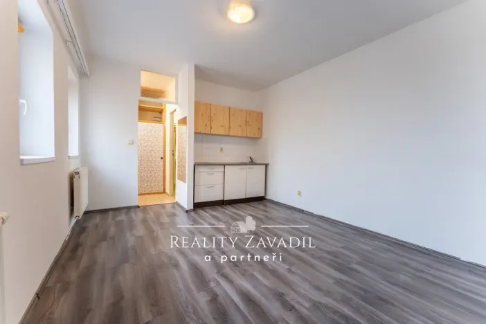 Prodej bytu 1+kk, Brandýs nad Labem-Stará Boleslav, Lázeňská, 21 m2