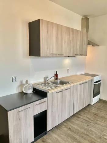 Pronájem bytu 1+kk, Brno - Černá Pole, třída Generála Píky, 30 m2