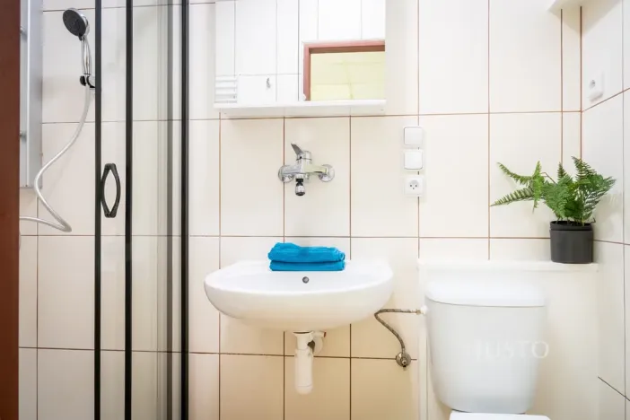 Pronájem rodinného domu, Brno, Kosmákova, 70 m2