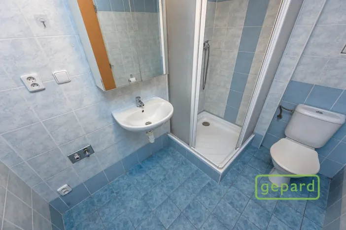 Pronájem bytu 1+1, Praha, Herlíkovická, 43 m2