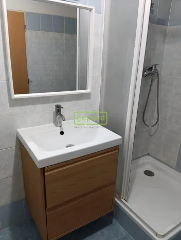 Pronájem bytu 1+kk, Praha, Herlíkovická, 43 m2