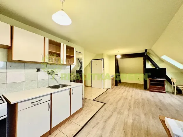 Pronájem bytu 1+kk, Veselá, 50 m2