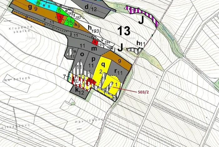 Dražba lesa, Přemyslovice, 6942 m2