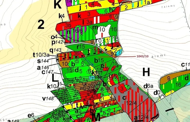 Dražba lesa, Stehlovice, 11078 m2