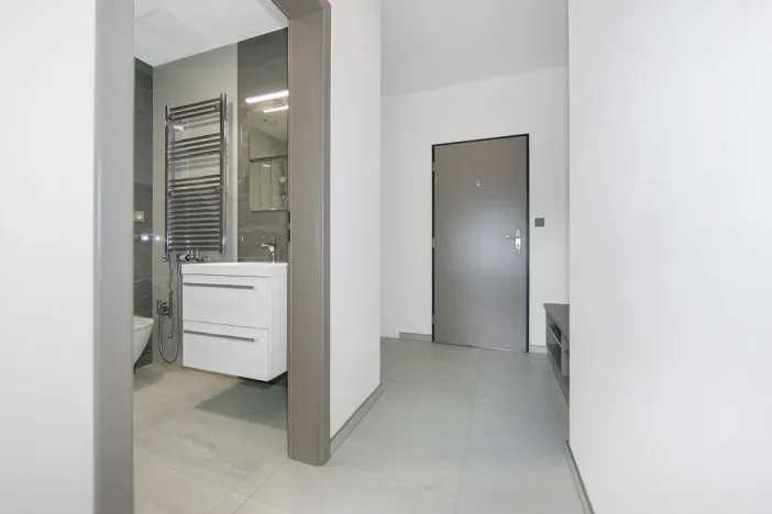 Pronájem bytu 1+kk, Zruč-Senec - Zruč, Sportovní, 42 m2