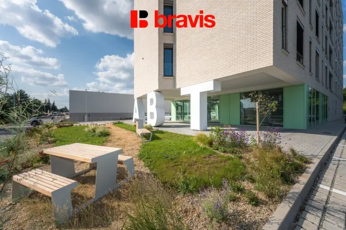 Pronájem bytu 1+kk, Brno - Horní Heršpice, Bohunická, 35 m2