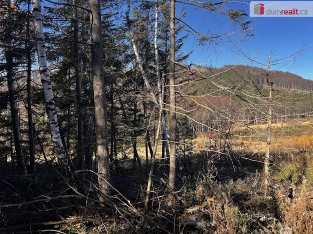 Prodej pozemku pro bydlení, Chvalčov, 3129 m2