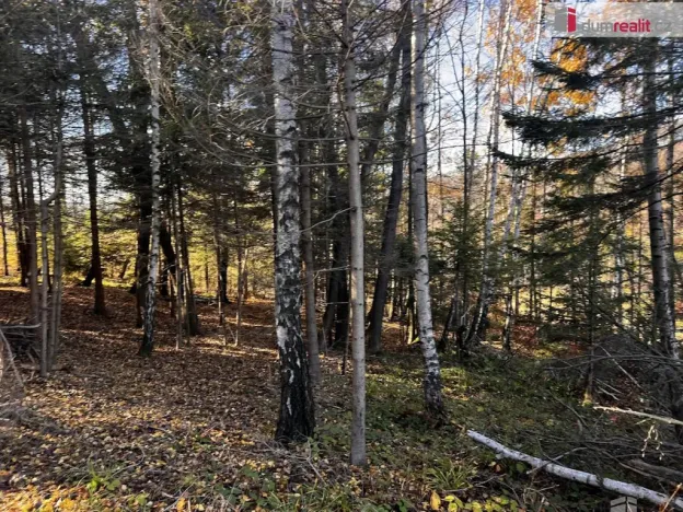 Prodej pozemku pro bydlení, Chvalčov, 3129 m2