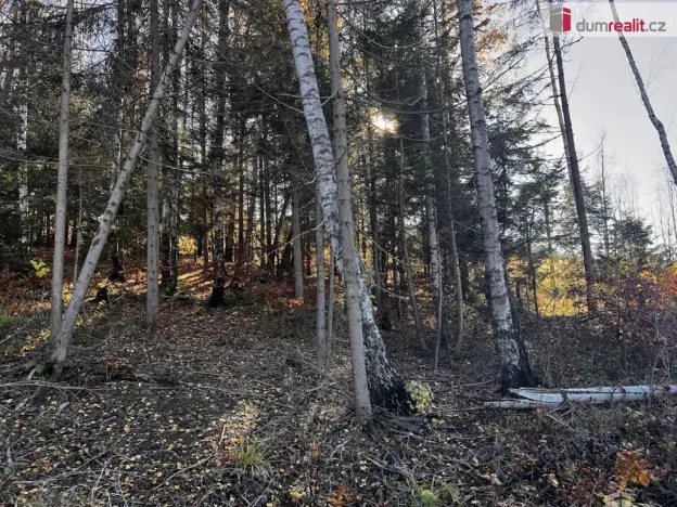 Prodej pozemku pro bydlení, Chvalčov, 3129 m2