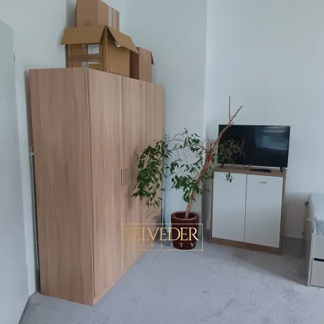 Pronájem bytu 1+1, Teplice, Americká, 38 m2