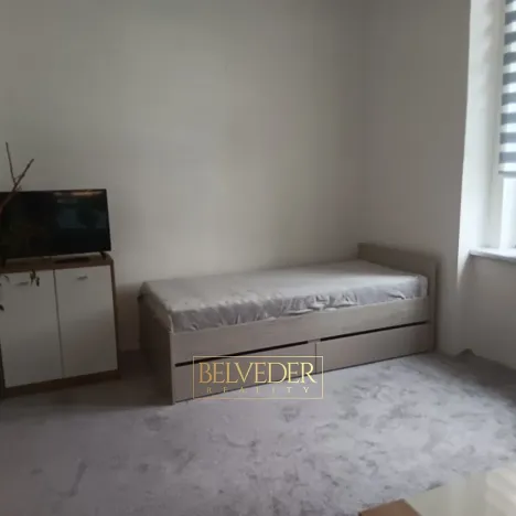 Pronájem bytu 1+1, Teplice, Americká, 38 m2