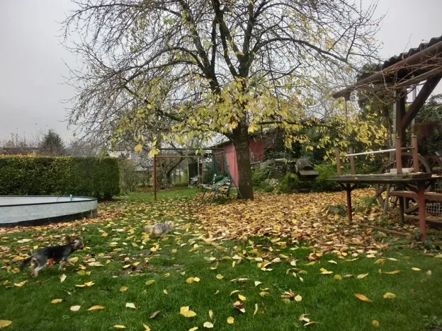 Prodej rodinného domu, Staré Město, 170 m2