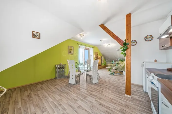 Prodej vícegeneračního domu, Drahanovice - Lhota pod Kosířem, 200 m2