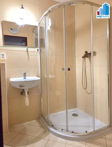 Pronájem bytu 2+kk, Plzeň - Jižní Předměstí, Hálkova, 50 m2