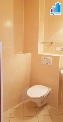 Pronájem bytu 2+kk, Plzeň - Jižní Předměstí, Hálkova, 50 m2