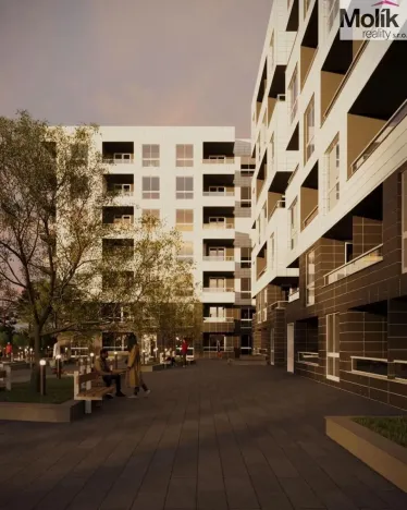 Prodej bytu 2+kk, Golem, 65 m2