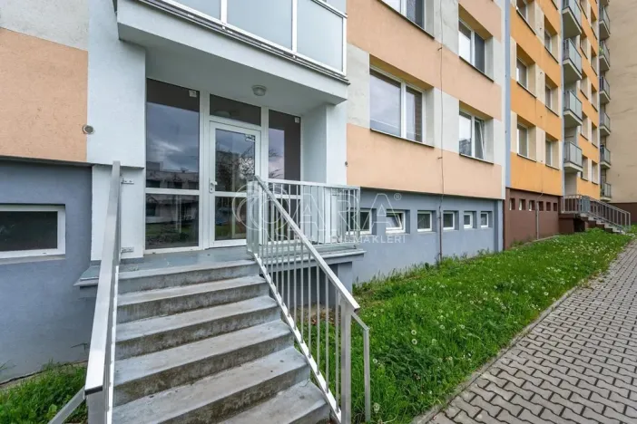 Pronájem bytu 1+1, Mladá Boleslav - Mladá Boleslav II, Jana Palacha, 41 m2